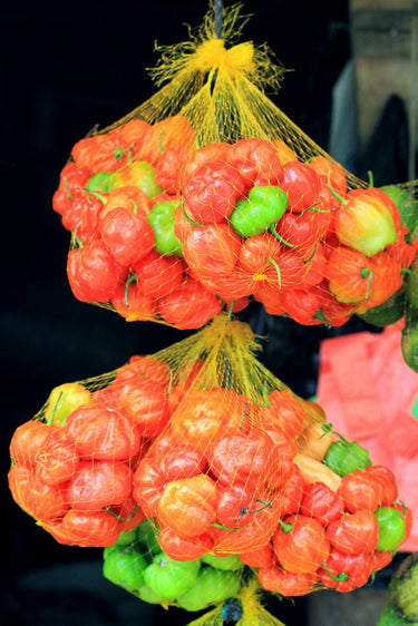 40 Orange SCOTCH BONNET PEPPER very hot Jamaican Capsicum Annuum Vegetable Seeds